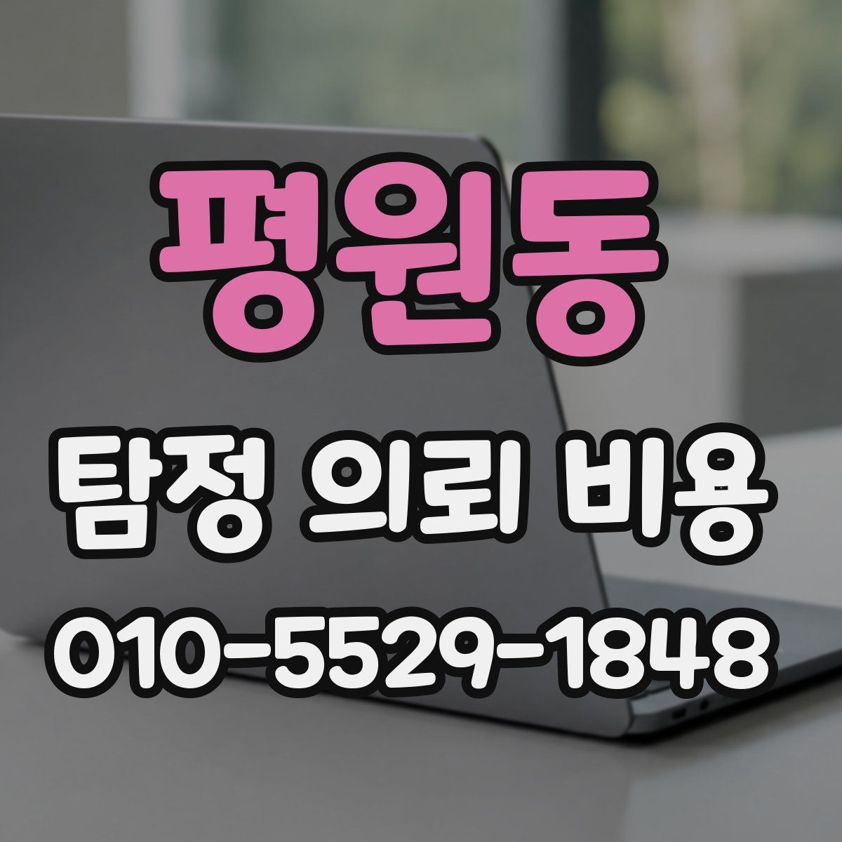 평원동 탐정 의뢰 비용
