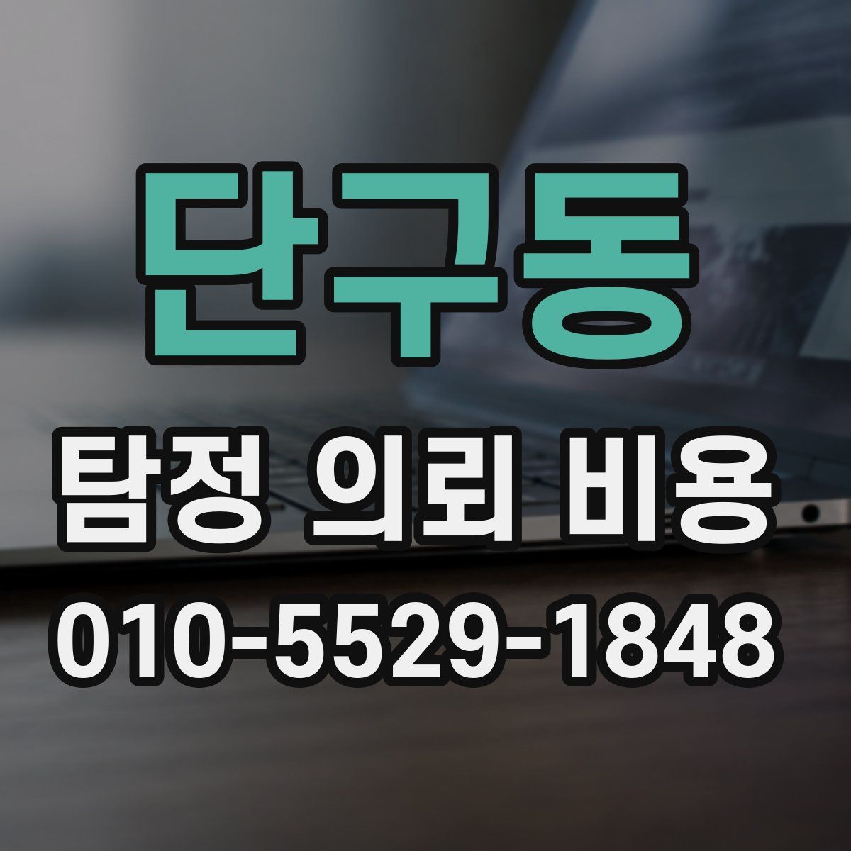 단구동 탐정 의뢰 비용