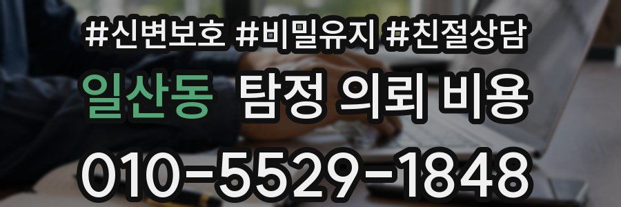일산동 탐정 의뢰 비용