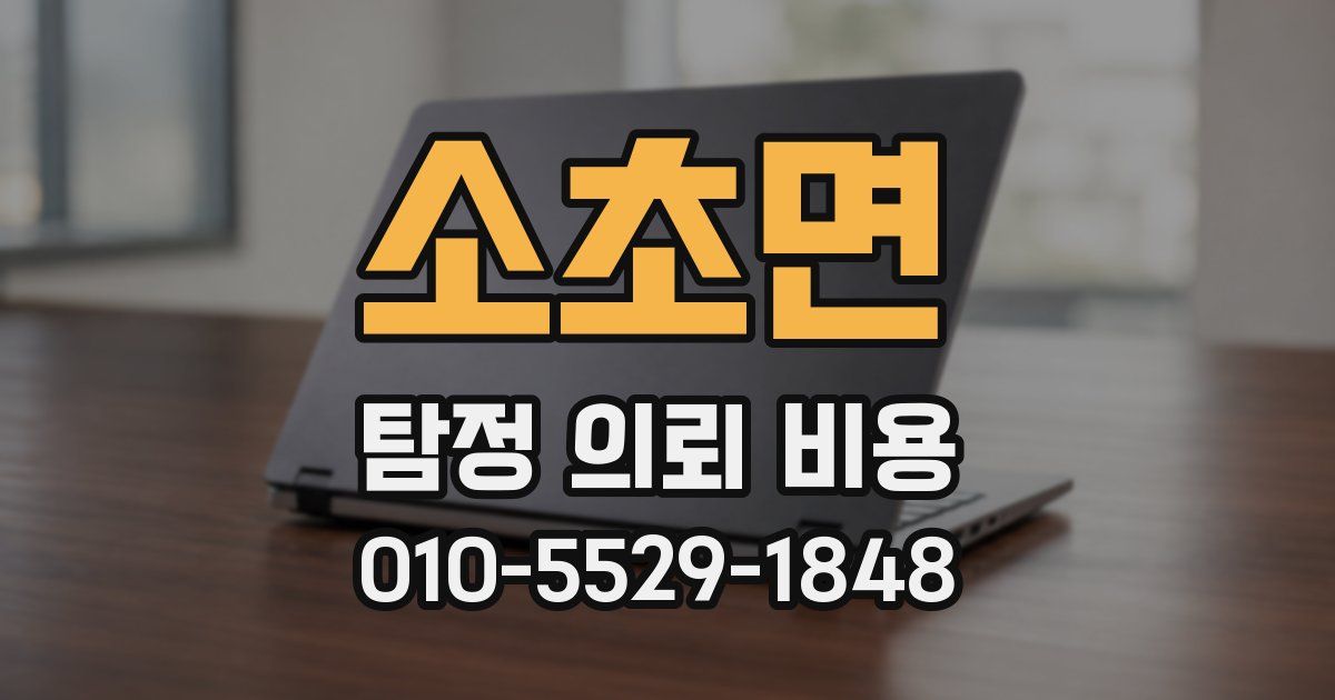 소초면 탐정 의뢰 비용