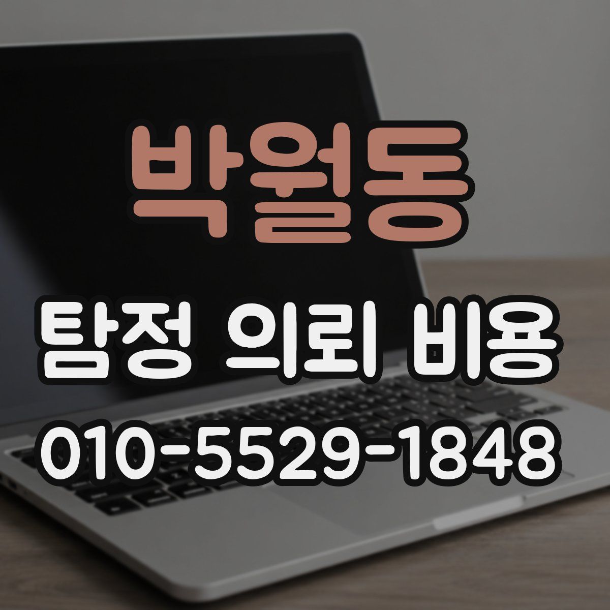 박월동 탐정 의뢰 비용