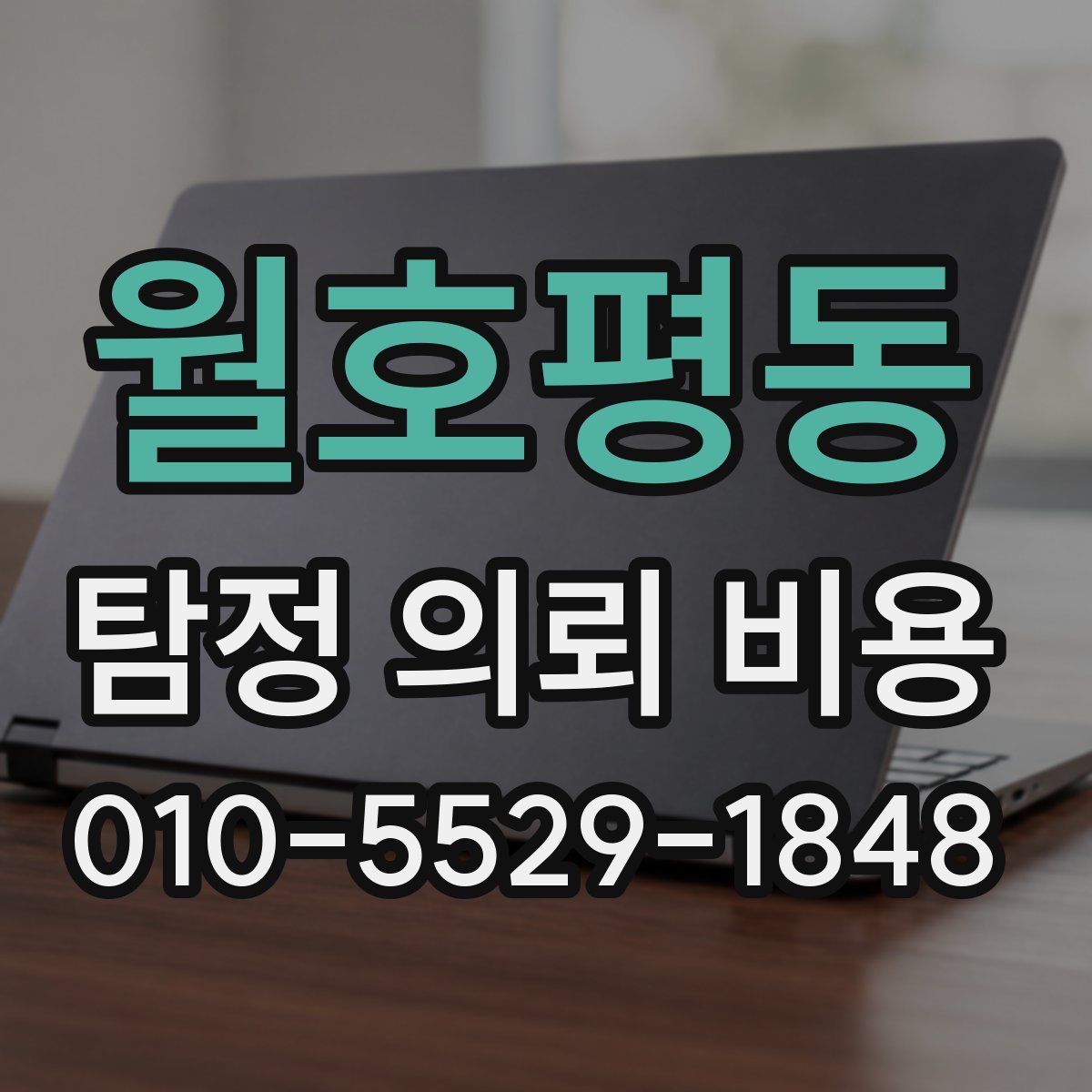 월호평동 탐정 의뢰 비용