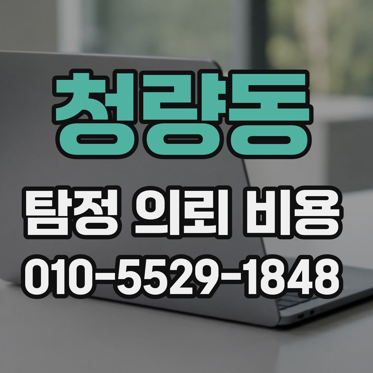 청량동 탐정 의뢰 비용