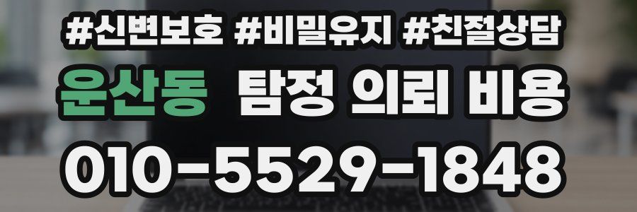 운산동 탐정 의뢰 비용