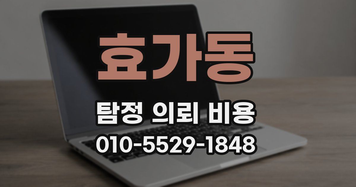 효가동 탐정 의뢰 비용