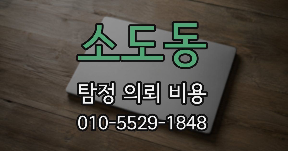 소도동 탐정 의뢰 비용