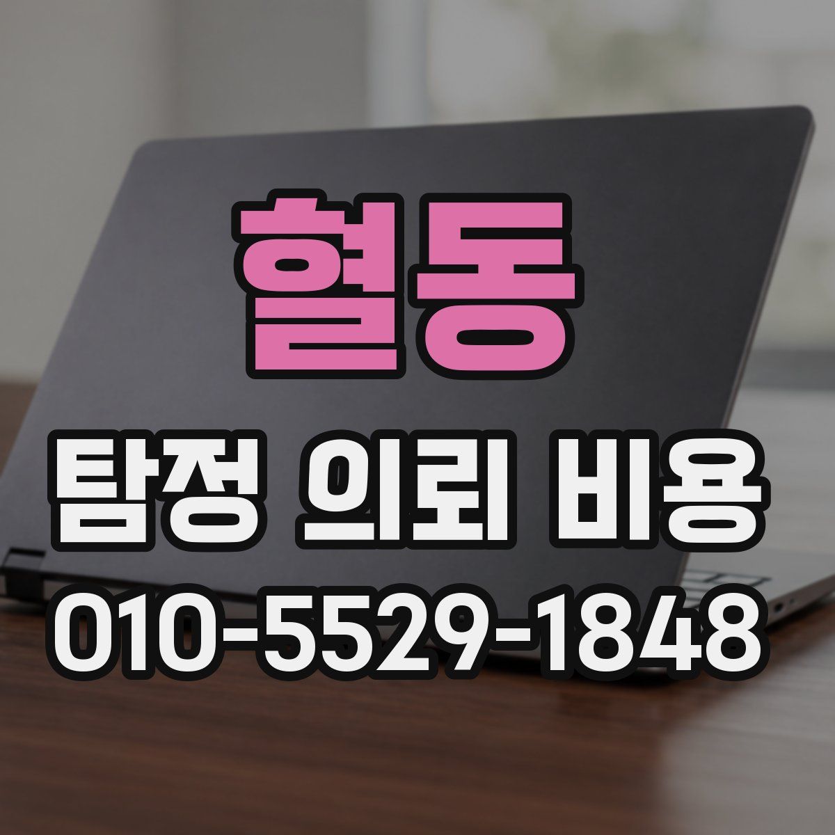 혈동 탐정 의뢰 비용