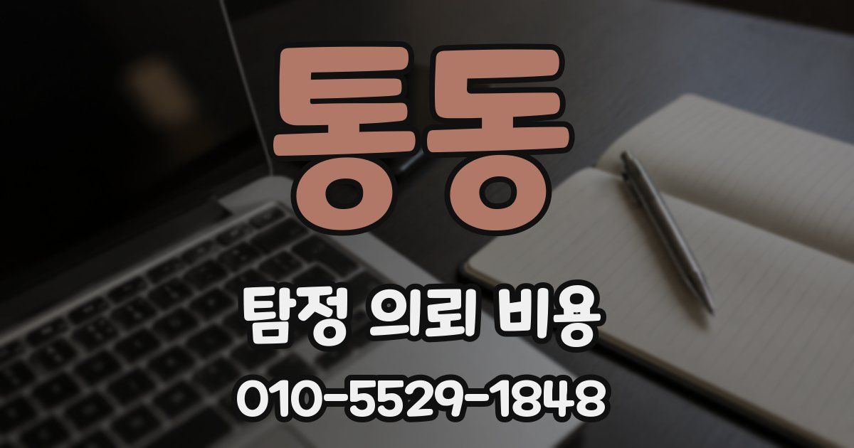 통동 탐정 의뢰 비용