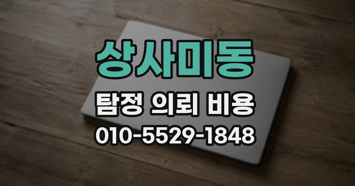 상사미동 탐정 의뢰 비용