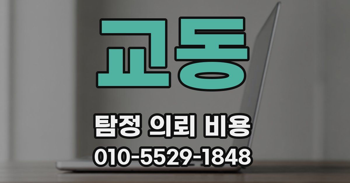 교동 탐정 의뢰 비용