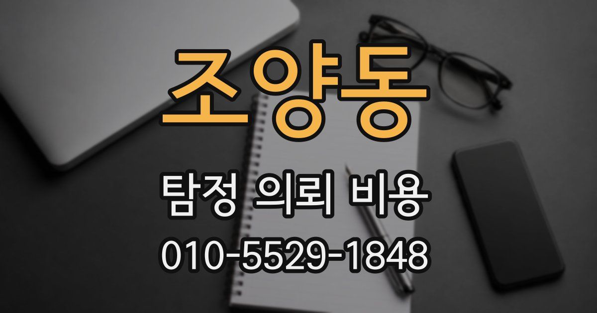 조양동 탐정 의뢰 비용