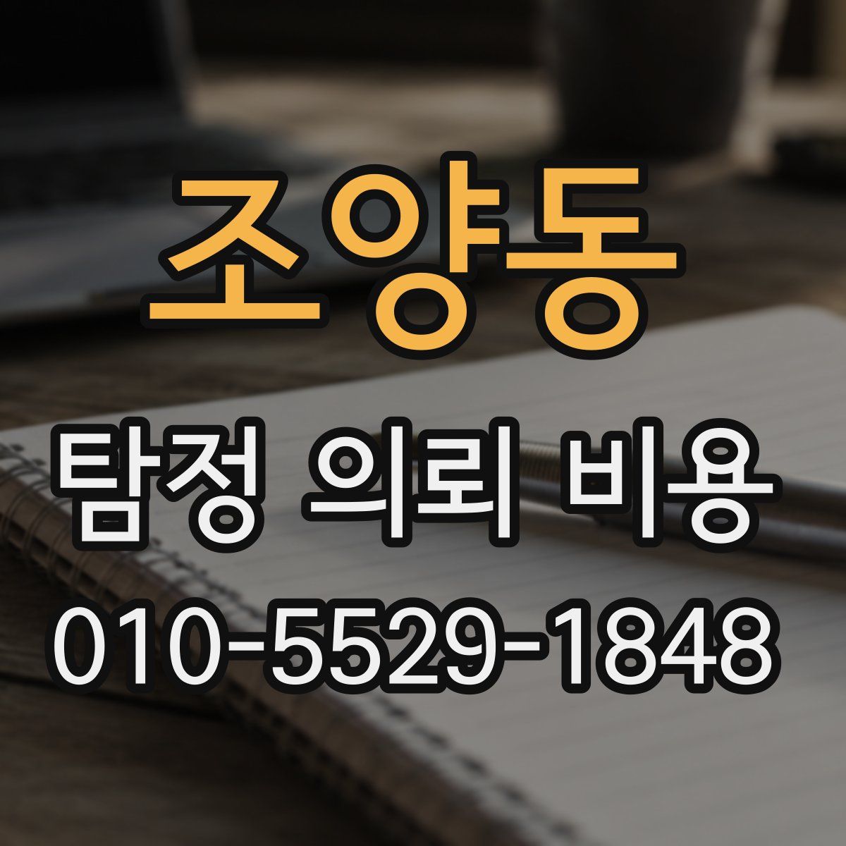 조양동 탐정 의뢰 비용