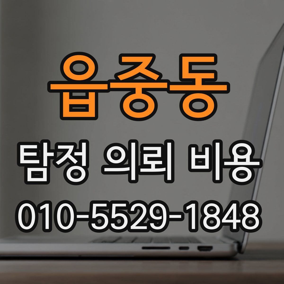 읍중동 탐정 의뢰 비용