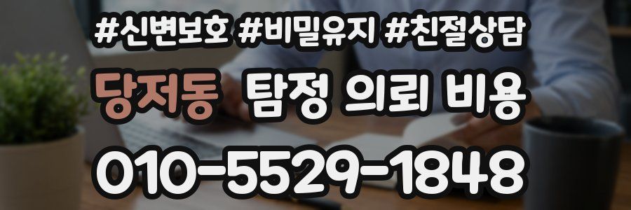 당저동 탐정 의뢰 비용