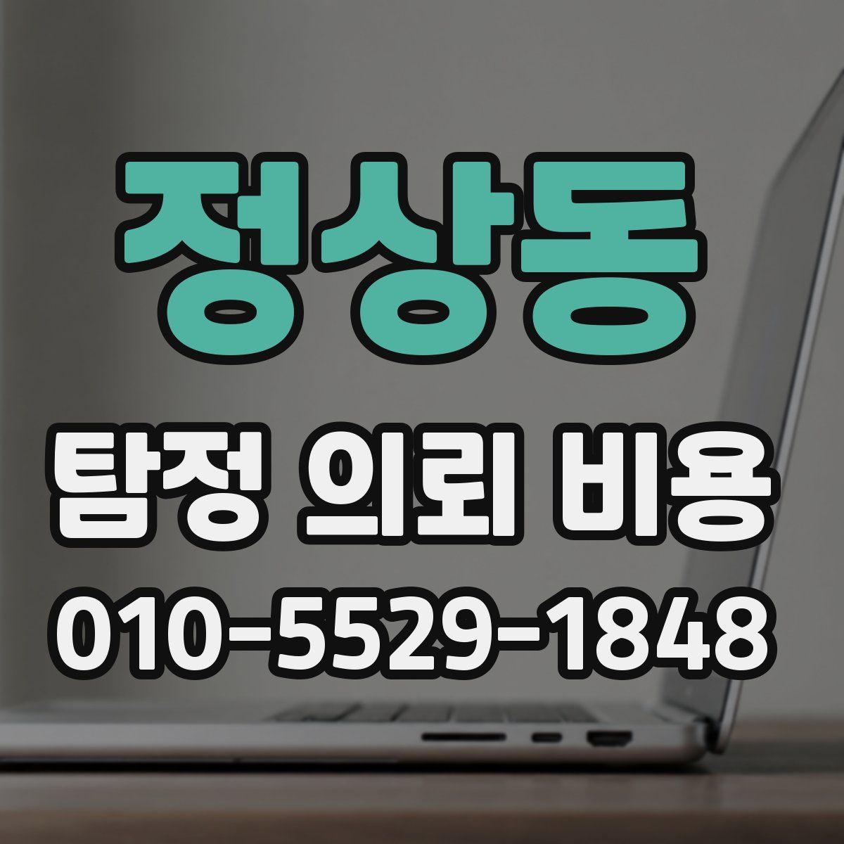 정상동 탐정 의뢰 비용