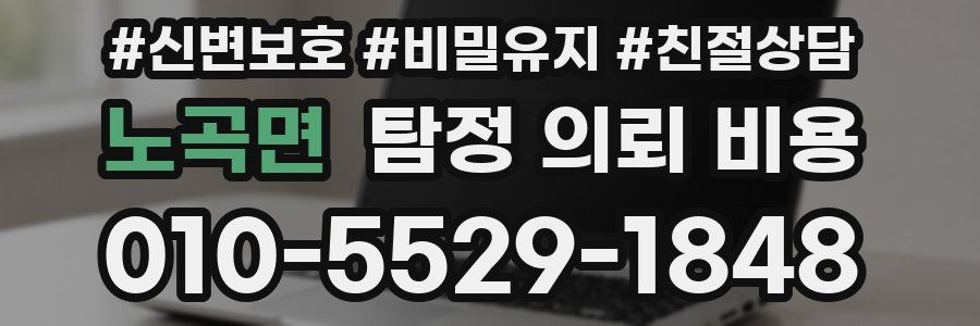 노곡면 탐정 의뢰 비용