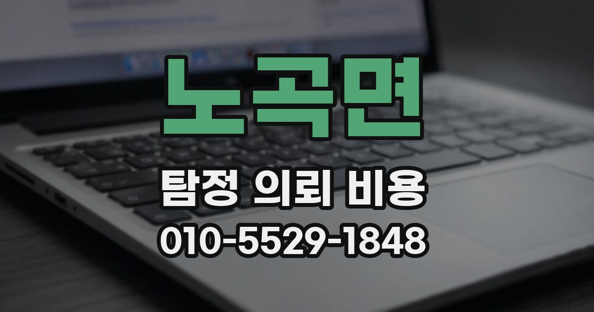 노곡면 탐정 의뢰 비용