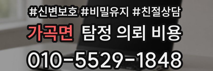 가곡면 탐정 의뢰 비용