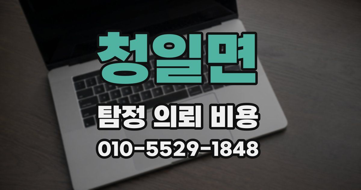 청일면 탐정 의뢰 비용