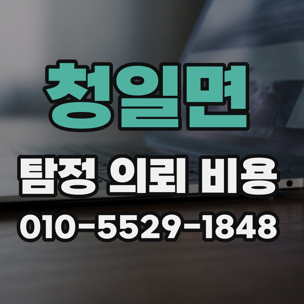 청일면 탐정 의뢰 비용