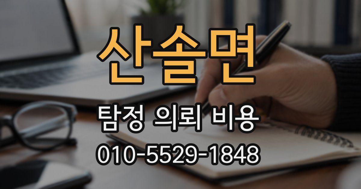 산솔면 탐정 의뢰 비용