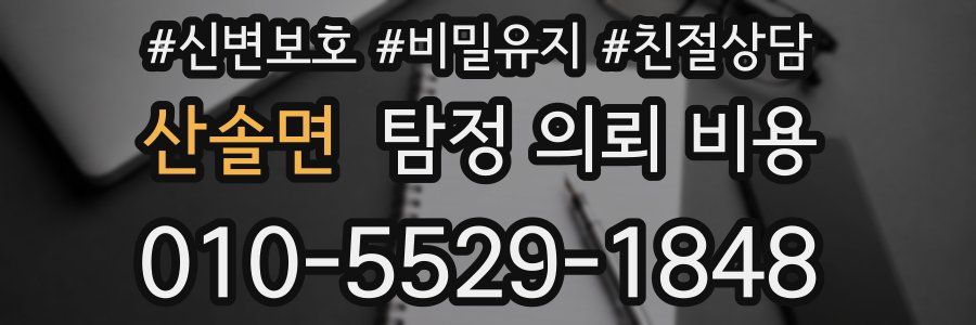 산솔면 탐정 의뢰 비용