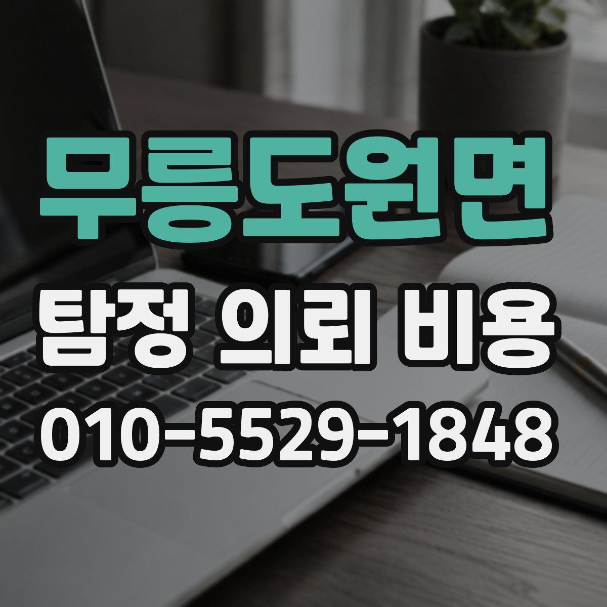 무릉도원면 탐정 의뢰 비용