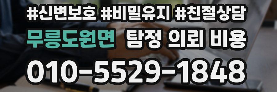 무릉도원면 탐정 의뢰 비용