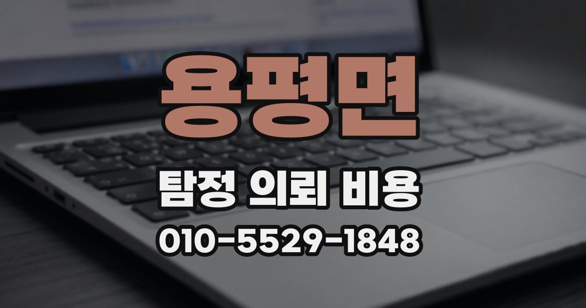 용평면 탐정 의뢰 비용