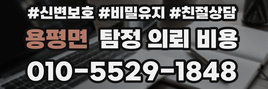 용평면 탐정 의뢰 비용