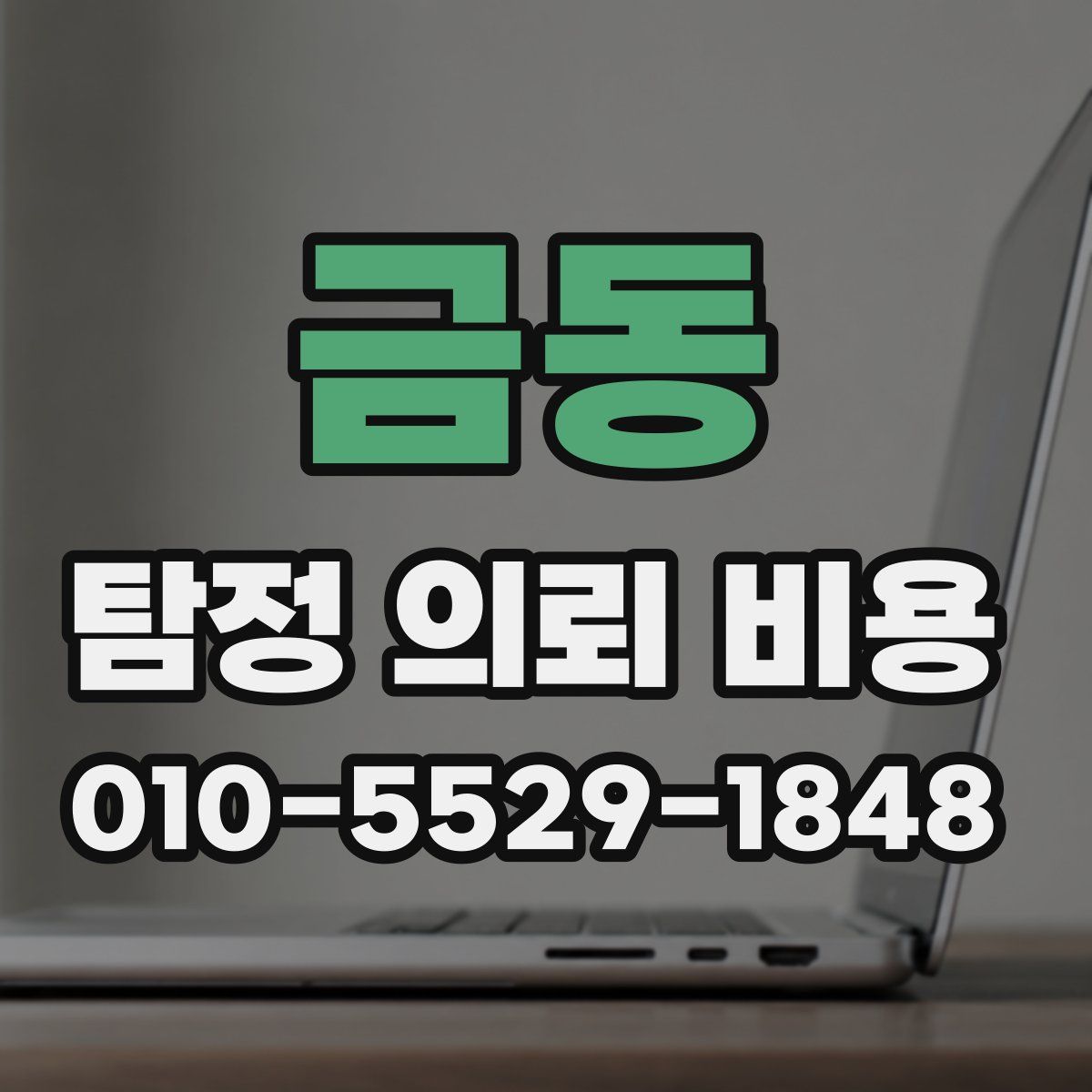 금동 탐정 의뢰 비용