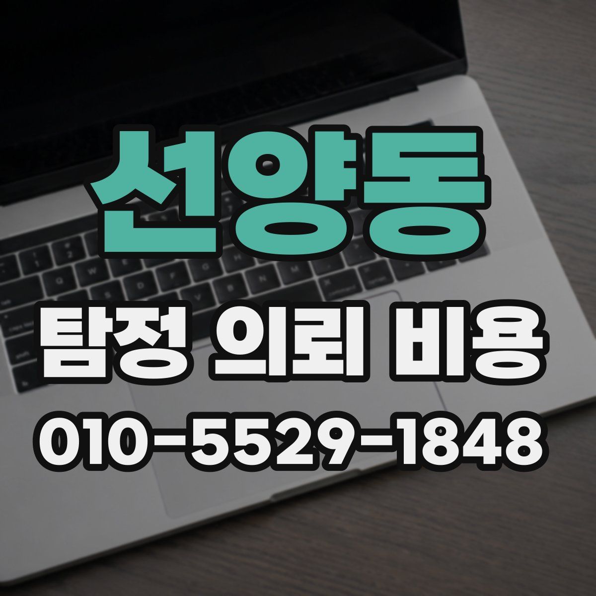선양동 탐정 의뢰 비용