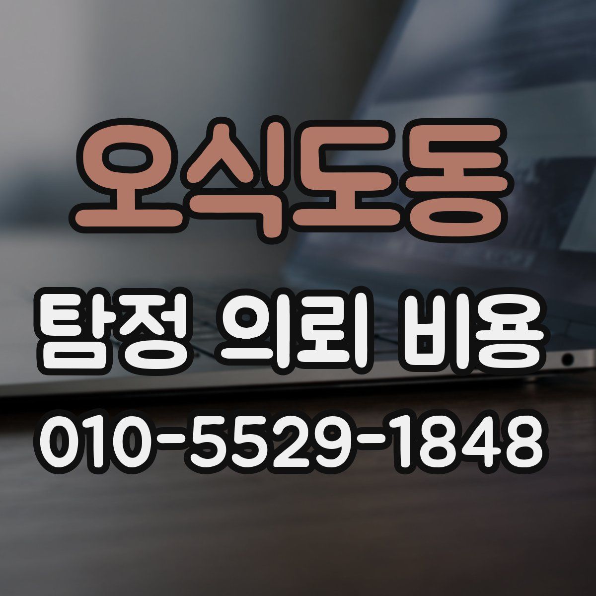 오식도동 탐정 의뢰 비용