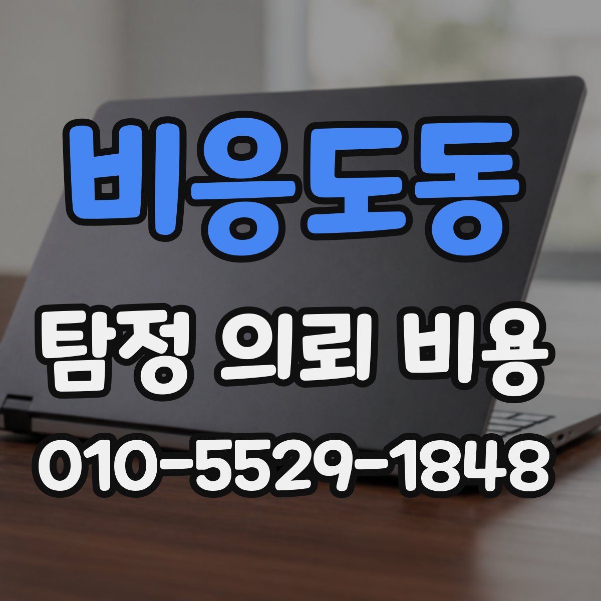 비응도동 탐정 의뢰 비용