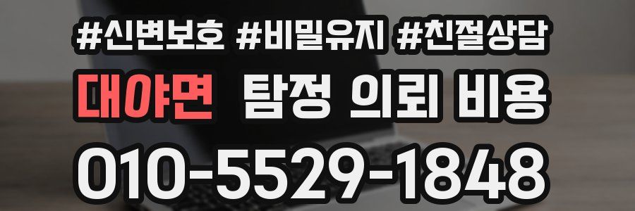 대야면 탐정 의뢰 비용