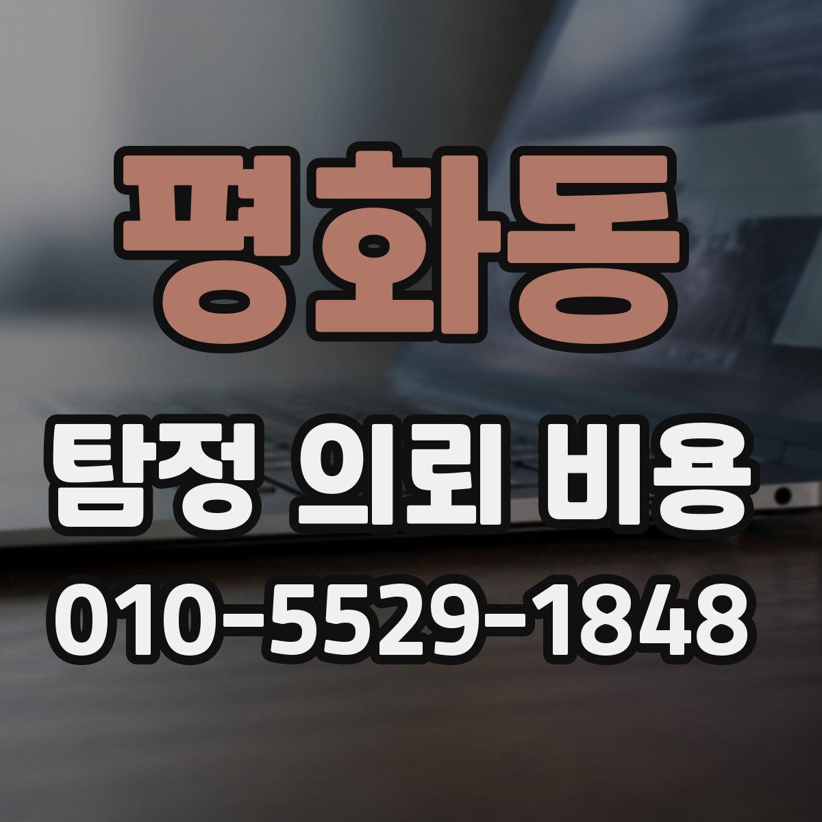 평화동 탐정 의뢰 비용
