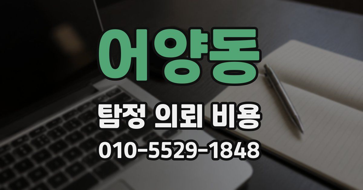 어양동 탐정 의뢰 비용