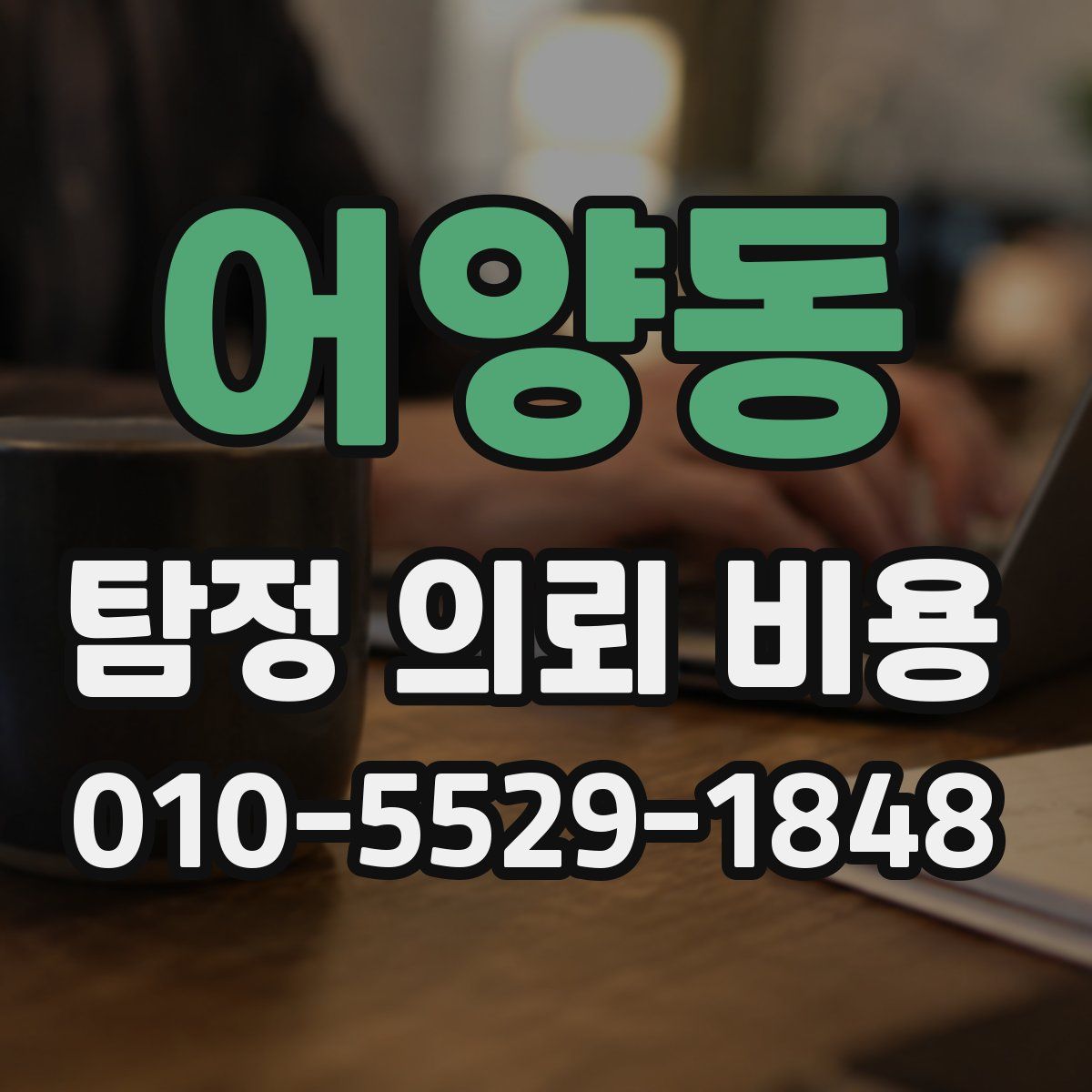 어양동 탐정 의뢰 비용