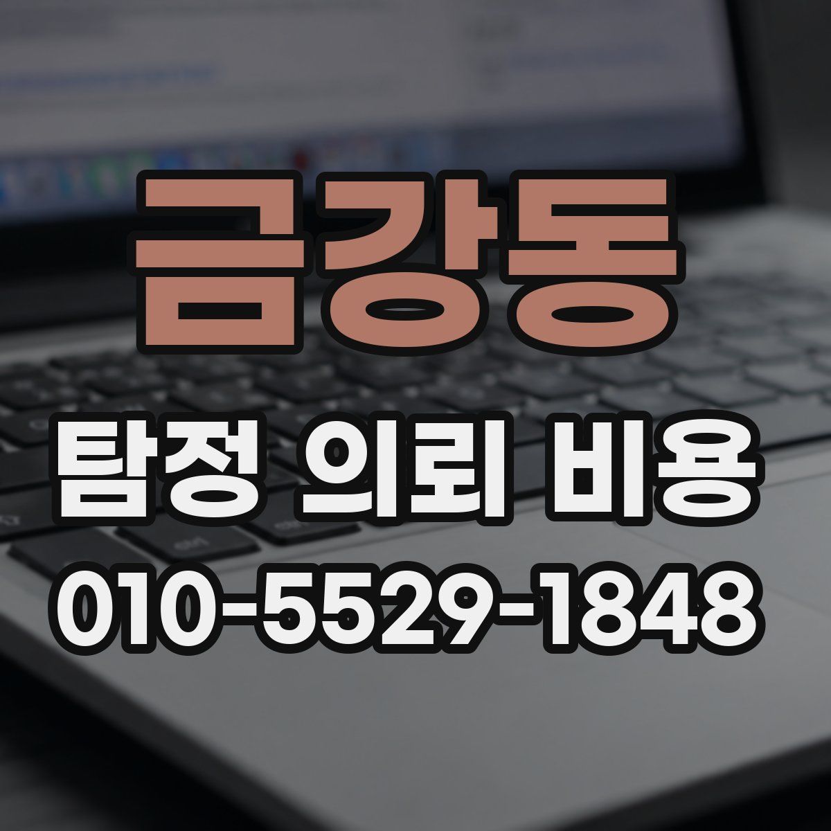 금강동 탐정 의뢰 비용