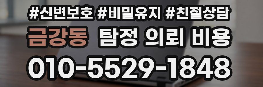 금강동 탐정 의뢰 비용