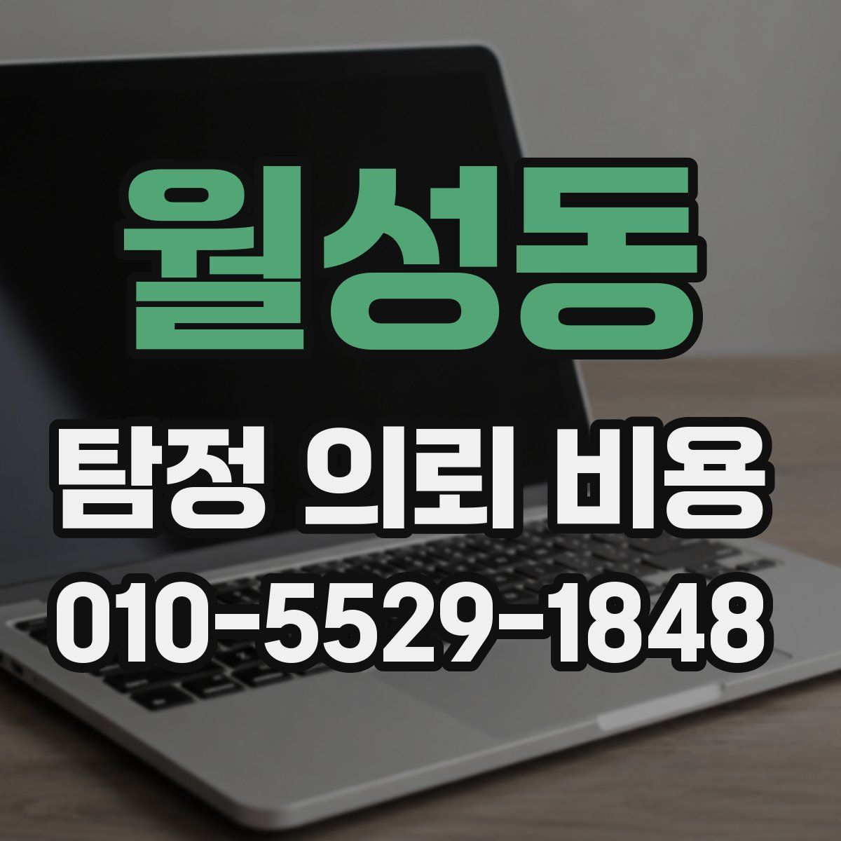 월성동 탐정 의뢰 비용