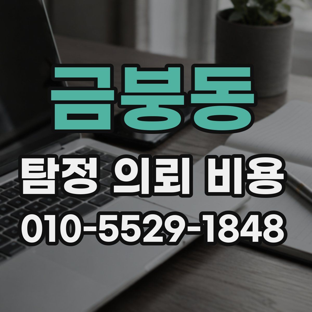 금붕동 탐정 의뢰 비용