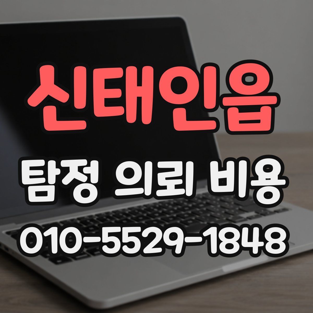 신태인읍 탐정 의뢰 비용