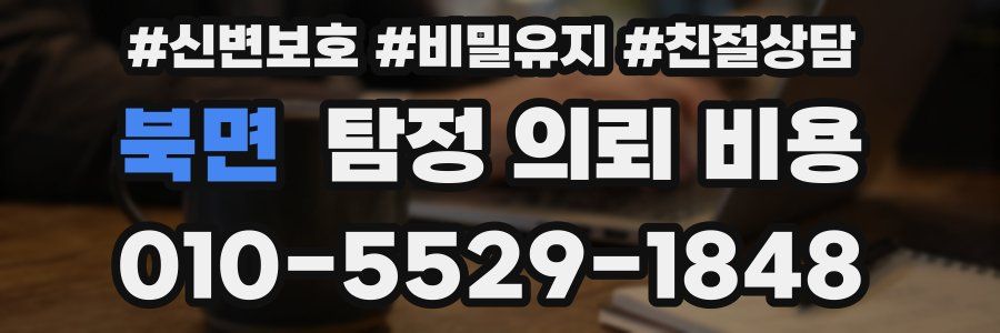 북면 탐정 의뢰 비용
