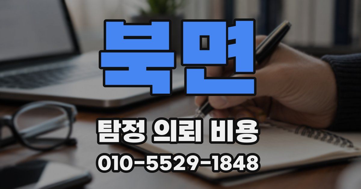 북면 탐정 의뢰 비용