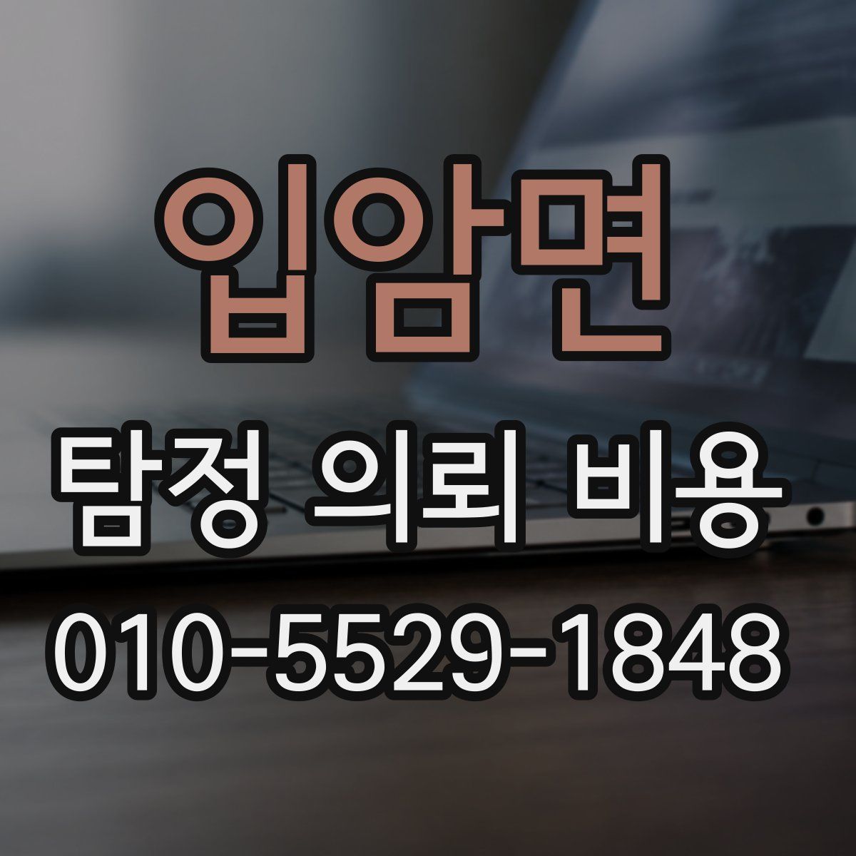 입암면 탐정 의뢰 비용