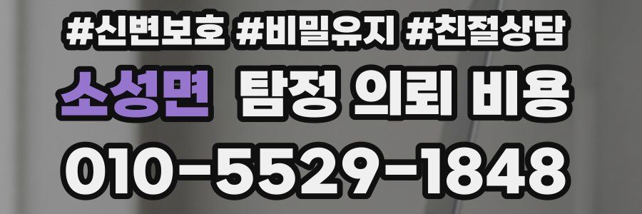 소성면 탐정 의뢰 비용