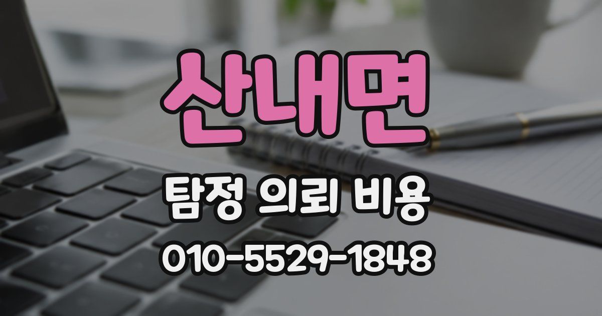 산내면 탐정 의뢰 비용