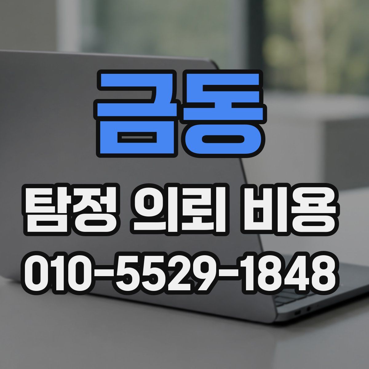 금동 탐정 의뢰 비용
