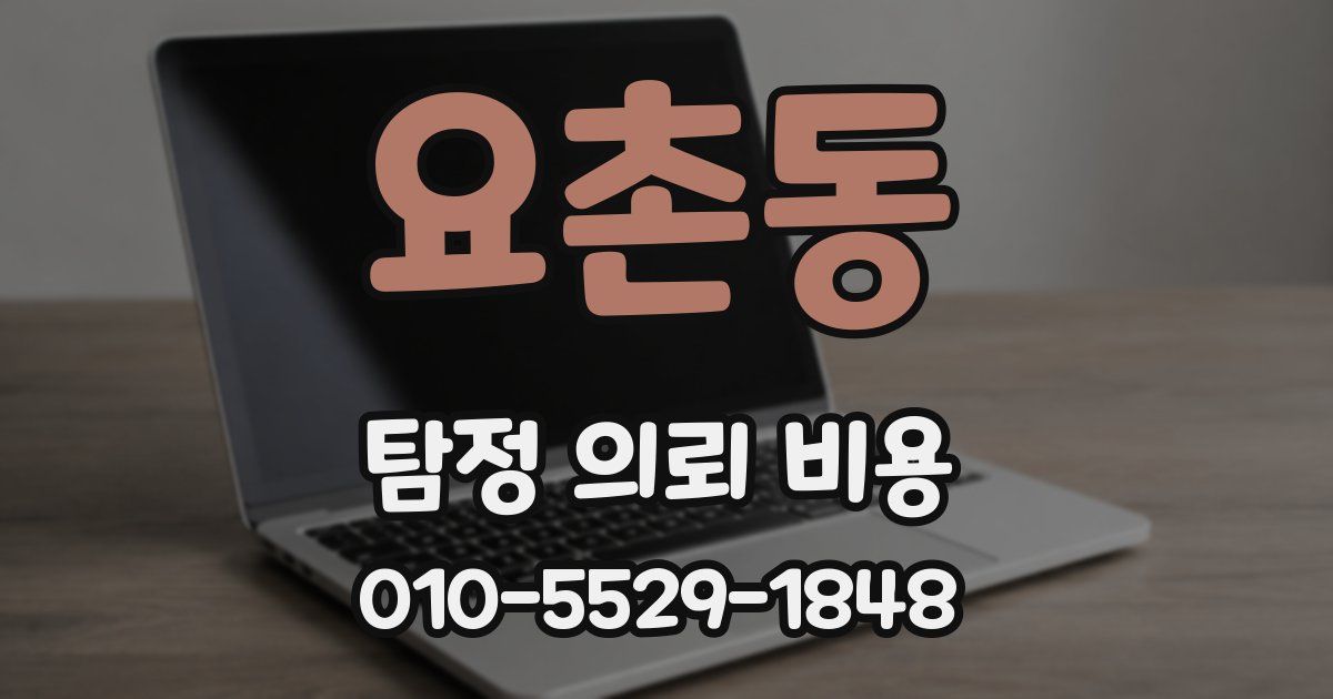 요촌동 탐정 의뢰 비용